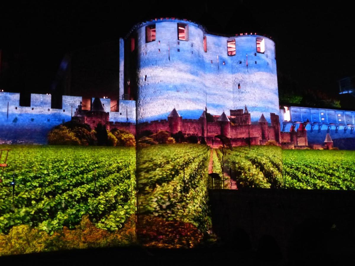 Maison Des Remparts Nichee Sous La Cite Carcassonne Exteriér fotografie